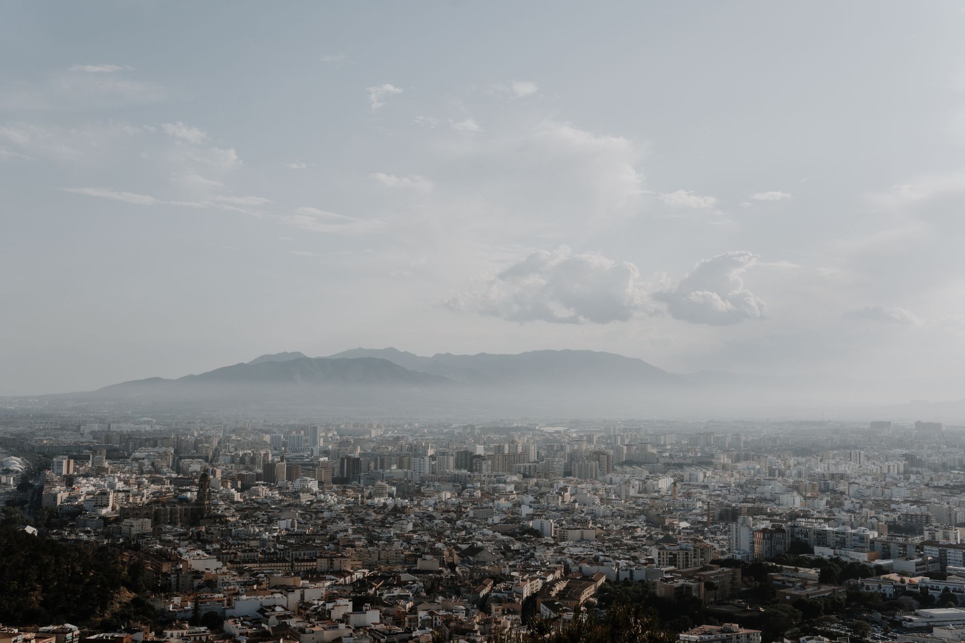 Blog-banner.png